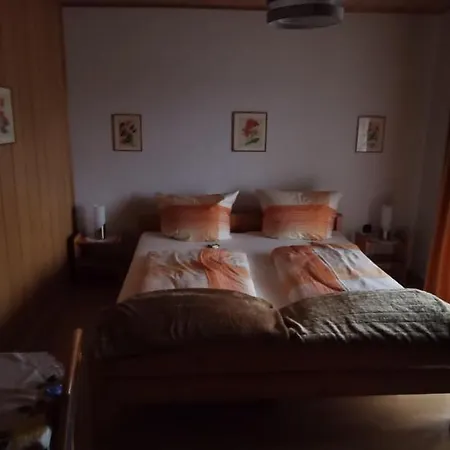 Apartman Haus Anton *