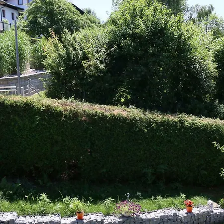 Haus Anton Apartman Zwiesel
