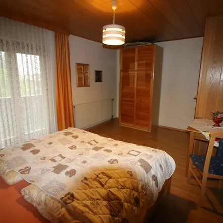 Haus Anton * 茨维泽尔